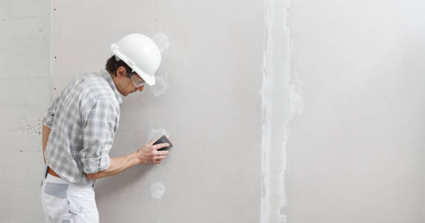 Best Ceiling Drywall Installation  in Milton Freewater, OR